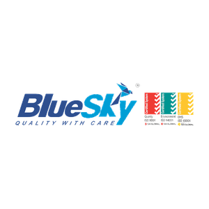 Bluesky logo